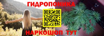 мдпв Мариинск