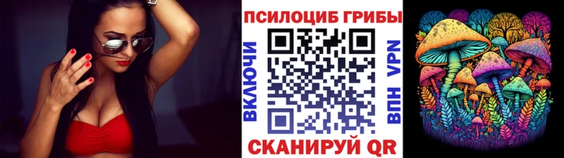 Псилоцибиновые грибы Magic Shrooms  Вязники 