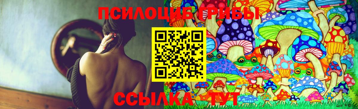 Вязники  Галлюциногенные грибы Psilocybe  Вход с VPN  Галлюциногенные грибы Cubensis 